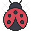 پیش‌نمایش فایل ladybug-6313563 از پک حیوانات و طبیعت