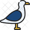 پیش‌نمایش فایل seagull-6314356 از پک اقیانوس و زندگی دریایی