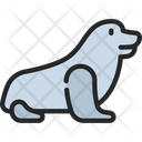پیش‌نمایش فایل seal-6314358 از پک اقیانوس و زندگی دریایی