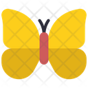پیش‌نمایش فایل butterfly-6313250 از پک حیوانات و طبیعت