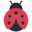 پیش‌نمایش فایل ladybug-6313279 از پک حیوانات و طبیعت