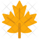 پیش‌نمایش فایل maple-6313284 از پک حیوانات و طبیعت