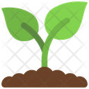 پیش‌نمایش فایل plant-6313300 از پک حیوانات و طبیعت