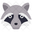 پیش‌نمایش فایل racoon-6313302 از پک حیوانات و طبیعت