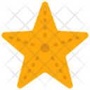 پیش‌نمایش فایل starfish-6313315 از پک حیوانات و طبیعت