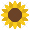 پیش‌نمایش فایل sunflower-6313317 از پک حیوانات و طبیعت