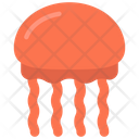 پیش‌نمایش فایل jellyfish-6314026 از پک اقیانوس و زندگی دریایی
