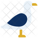 پیش‌نمایش فایل seagull-6314059 از پک اقیانوس و زندگی دریایی