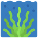 پیش‌نمایش فایل seaweed-6314062 از پک اقیانوس و زندگی دریایی