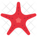 پیش‌نمایش فایل starfish-6314074 از پک اقیانوس و زندگی دریایی