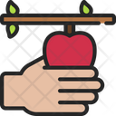 پیش‌نمایش فایل pick-fruit-6302243 از پک آشپزخانه و آشپزی