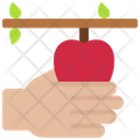 پیش‌نمایش فایل pick-fruit-6302018 از پک آشپزخانه و آشپزی