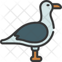 پیش‌نمایش فایل seagull-6301710 از پک تابستان
