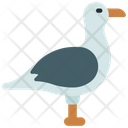پیش‌نمایش فایل seagull-6301510 از پک تابستان