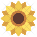 پیش‌نمایش فایل sunflower-6301522 از پک تابستان
