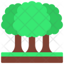 پیش‌نمایش فایل forest-6315470 از پک جغرافیا