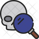 پیش‌نمایش فایل skull-research-6315008 از پک باستان‌شناسی