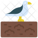 پیش‌نمایش فایل seagull-6312958 از پک مدیریت پسماند
