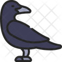 پیش‌نمایش فایل crow-6505538 از پک هالووین