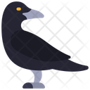 پیش‌نمایش فایل crow-6505418 از پک هالووین