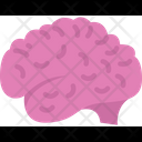 پیش‌نمایش فایل brain-558 از پک هالووین