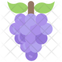 پیش‌نمایش فایل grapes-253 از پک میوه - فلت