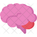 پیش‌نمایش فایل brain-1493811 از پک پزشکی - فلت