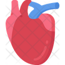 پیش‌نمایش فایل heart-1493810 از پک پزشکی - فلت