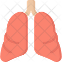 پیش‌نمایش فایل lungs-1493809 از پک پزشکی - فلت