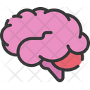 پیش‌نمایش فایل brain-1493911 از پک پزشکی - توپر نرم