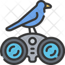 پیش‌نمایش فایل bird-watching-1549429 از پک سرگرمی‌ها