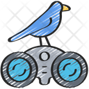 پیش‌نمایش فایل bird-watching-1549331 از پک سرگرمی‌ها