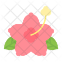پیش‌نمایش فایل hibiscus-10633399 از پک تابستان