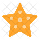 پیش‌نمایش فایل starfish-10633379 از پک تابستان