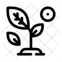 پیش‌نمایش فایل leaves-11652243 از پک بهار