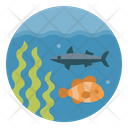 پیش‌نمایش فایل marine-animals-5556647 از پک بوم شناسی و محیط زیست