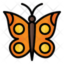 پیش‌نمایش فایل butterfly-3392326 از پک بهار