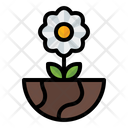 پیش‌نمایش فایل flower-3392300 از پک بهار
