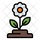 پیش‌نمایش فایل flower-3392302 از پک بهار