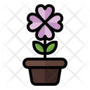 پیش‌نمایش فایل flower-pot-3392293 از پک بهار
