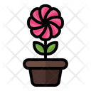 پیش‌نمایش فایل flower-pot-3392294 از پک بهار