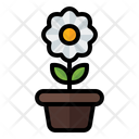 پیش‌نمایش فایل flower-pot-3392295 از پک بهار