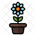 پیش‌نمایش فایل flower-pot-3392296 از پک بهار
