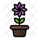 پیش‌نمایش فایل flower-pot-3392297 از پک بهار