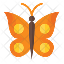 پیش‌نمایش فایل butterfly-3392377 از پک بهار