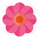 پیش‌نمایش فایل flower-3392349 از پک بهار
