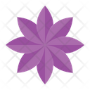 پیش‌نمایش فایل flower-3392350 از پک بهار