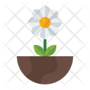 پیش‌نمایش فایل flower-3392351 از پک بهار