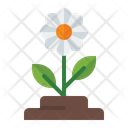 پیش‌نمایش فایل flower-3392353 از پک بهار