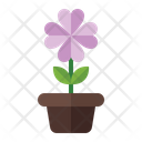 پیش‌نمایش فایل flower-pot-3392344 از پک بهار